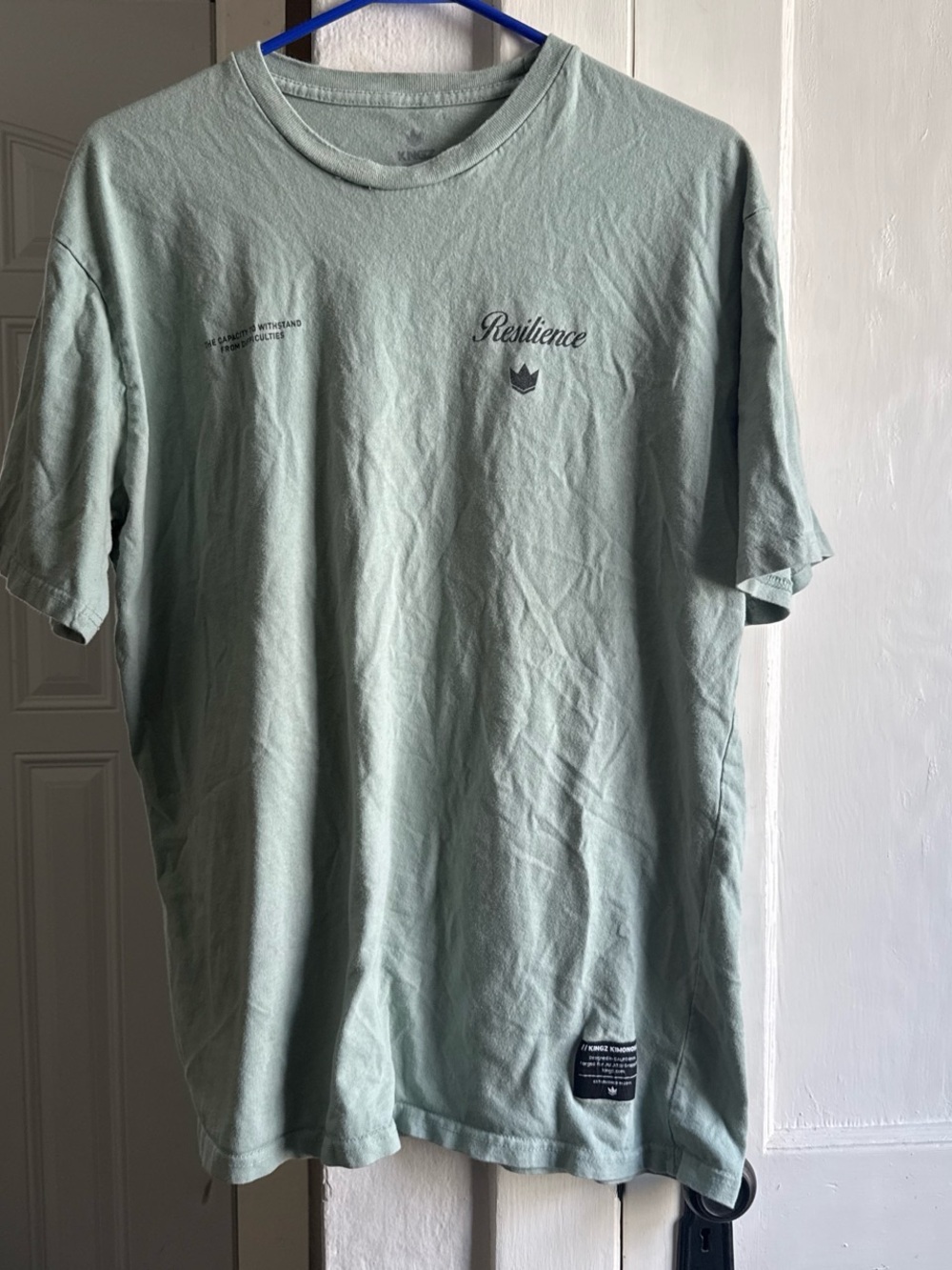 Resilience Short Sleeve Crew Tee in Mint Green